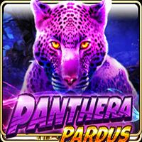 permainan slot Panthera Pardus provider Live 22 dari situs slot gacor MEONGTOTO
